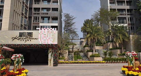 热烈庆祝九洲盛世成功合作招商观园冬季包装项目